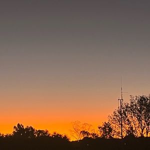 Meet your Posher, Lucy-jean